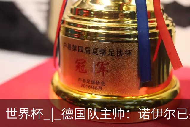 世界杯 | 德国队主帅：诺伊尔已完全康复
